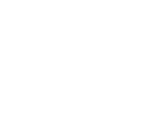 Home Page | Security Shutter Manufacturer | Roché Security